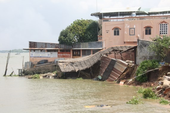Landslides have increased in the Mekong Delta region in recent time. (Photo:SGGP)