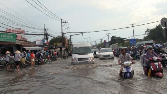 Downpour floods the city roads