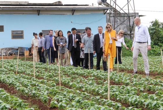 ueen Maxima of the Netherlands visits a farming model in Lam Dong province (Source: saigongiaiphong.vn)