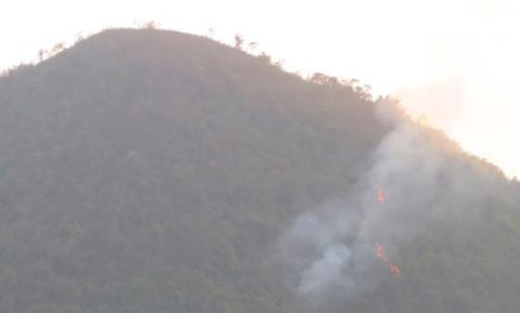 Protective forest fire in Thai Nguyen province (Photo:VNA)