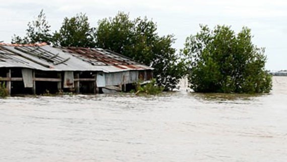 Flooding will early occur in the Mekong Delta region