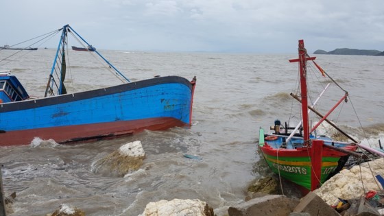 Many fishing boats are sunk by typhoon Talas