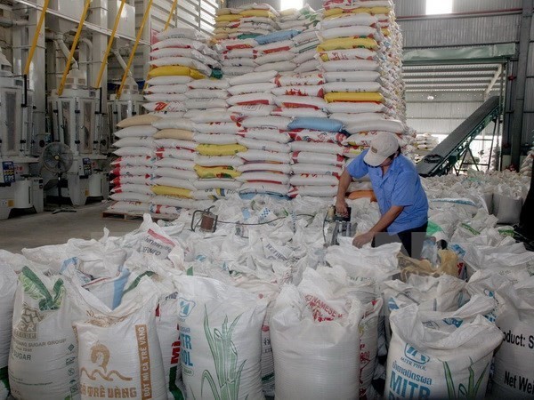 The Vietnam Food Association aims to ship 2 million tonnes of rice to foreign countries in the last five months of the year, increasing total rice export for the whole year to 5.2 million tonnes. (Photo: VNA)