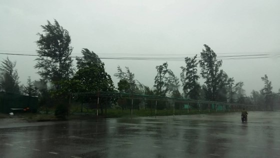 All schools in Da Nang closed for safety during  typhoon Doksuri