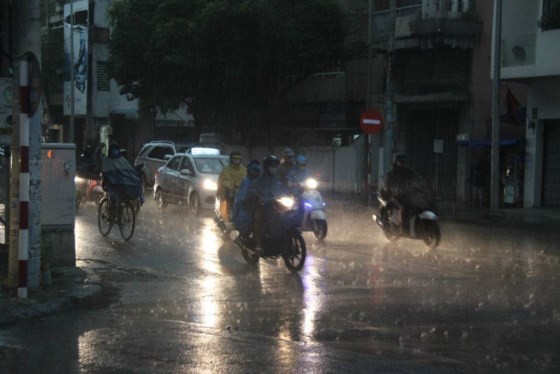 Medium- heavy rains shower whole country 