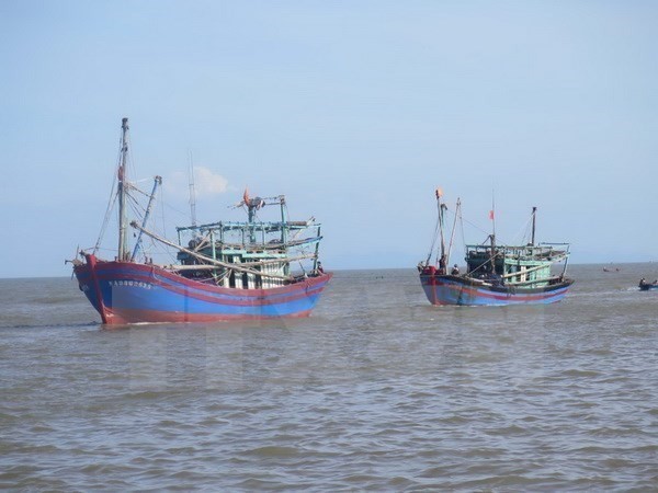 Fishing boats of Vietnam (Photo: VNA)