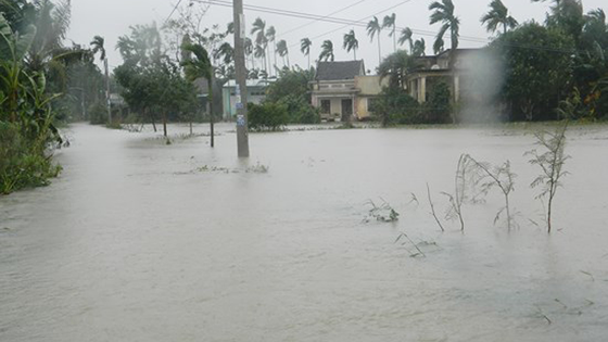 The high rainfall causes floodwater increase in rivers from Quang Ngai to Ninh Thuan