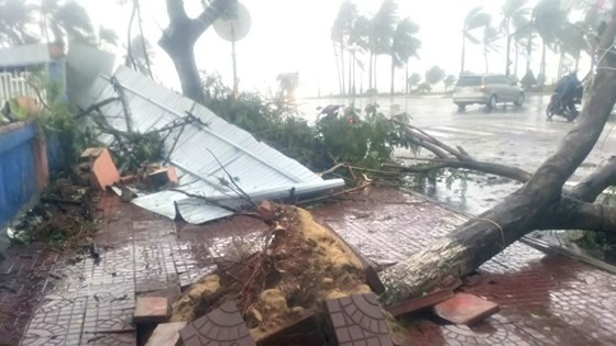 Typhoon Damrey causes serious damages in the central region 