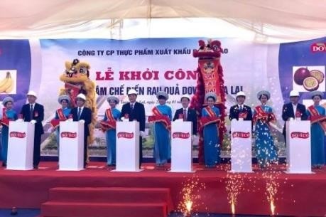Groundbreaking ceremony of the fruit and vegetable processing centre (Source: VNA)