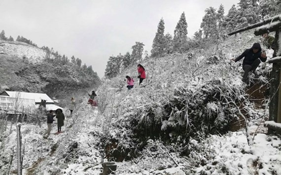 Snow covers the mountain pass of O Quy Ho, Sa Pa district, Lao Cai
