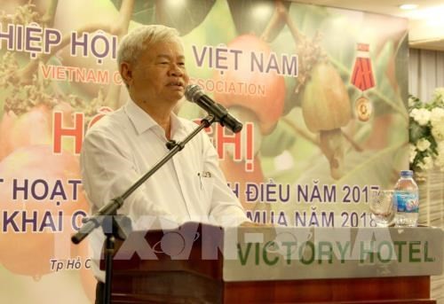 VINACAS President Nguyen Duc Thanh speaks at the conference (Source: VNA)