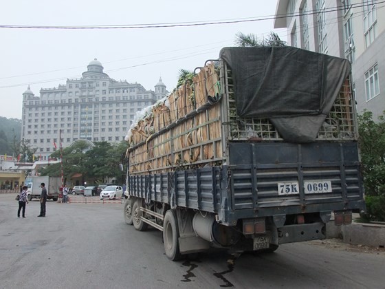 Vietnamese vegetables & fruits to China must be traced origin from April 1