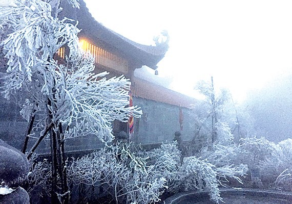 Frost appears in Fansipan mountain peak (Photo:VNA)