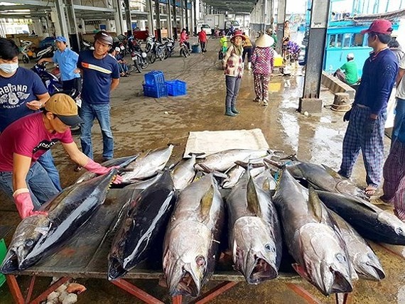 Seafood export targets turnover of US$ 10 billion 