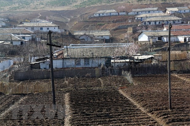 Drought strikes a DPRK province. (Source: AFP/VNA)