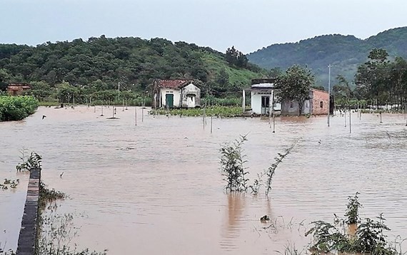 Nearly 200 houses flooded after 5 hour rainfall in Lam Dong province