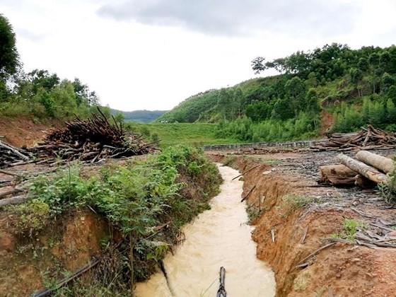 Landslide along sea dyke kills 19 people, leaves many missing in Ca Mau