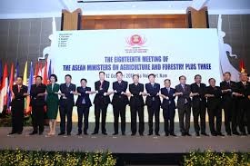 (Photo from https://asean.org/eighteenth-meeting-asean-ministers-agriculture-forestry-ministers-agriculture-peoples-republic-china-japan-republic-korea-18th-amaf-plus-three/)