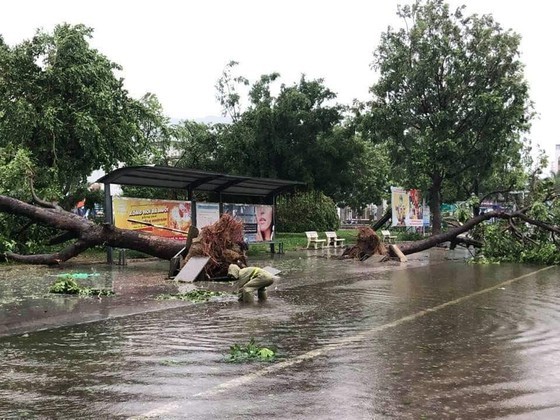 (Illustrative photo: the Central Steering Committee on Natural Disaster Prevention and Control))