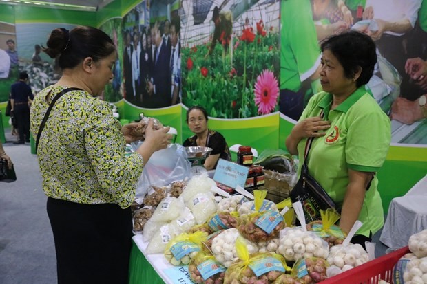 Garlics and shallots introduced at the recent show of Hanoi's OCOP products (Photo: VNA)