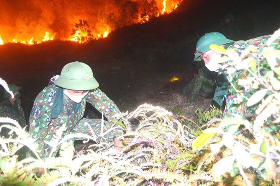 Firefighters make efforts in forest fire prevention 