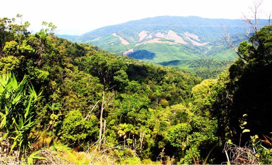 Sustainable Forest Restoration and Management Project in the Central and the Northern regions of Vietnam” (KfW9 Phase 1) worth more than VND105 billion (more than EUR4.2 million)