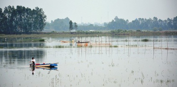 Mekong Delta to see peak of flood season in late September  