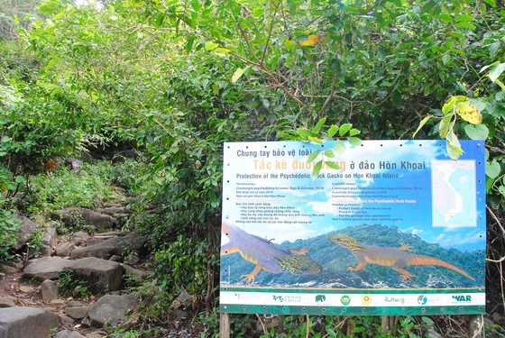 There are precious and rare biological genetic resources on  Hon Khoai- Hon Chuoi island clusters