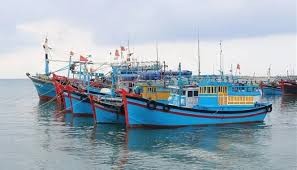 Ba Ria – Vung Tau tightens control of vessels to fight IUU fishing