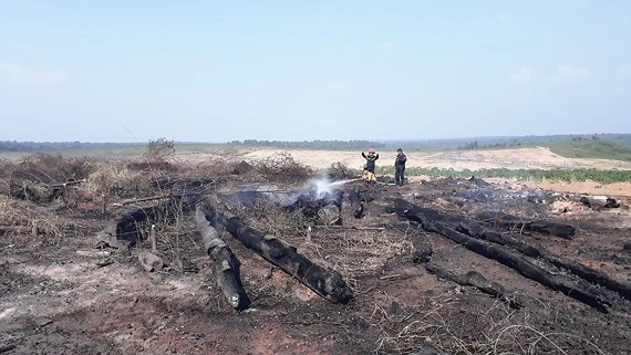 Những ngày đầu năm 2018, gỗ khai thác đã 2 lần bị cháy