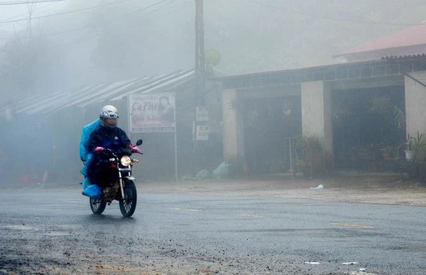 Ảnh minh họa: TTXVN