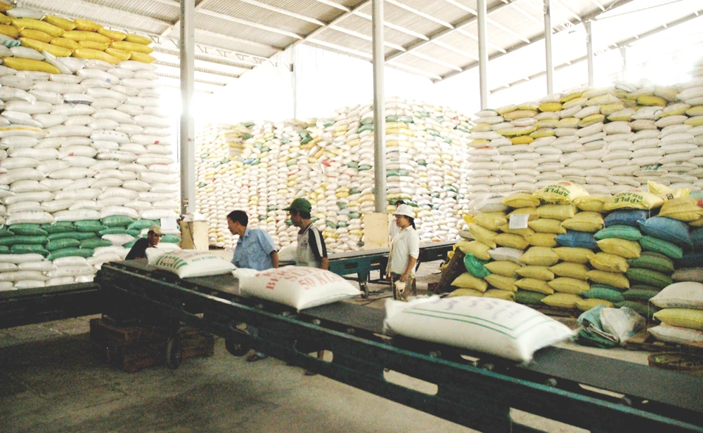 Dự trữ gạo để xuất khẩu ở ĐBSCL