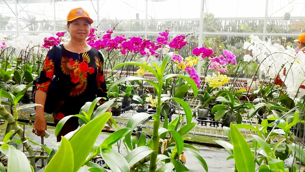 Chị Nguyễn Thị Huê tham quan học tập mô hình nông nghiệp hiệu quả tại Đồng Nai