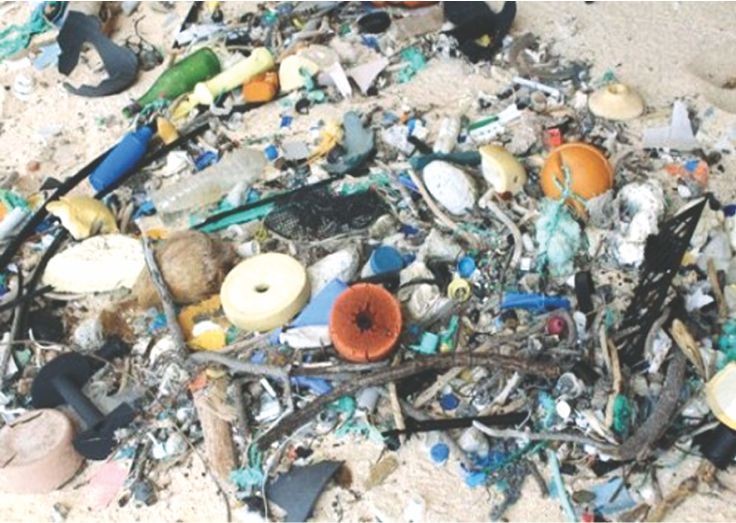 圾垃遍地的亨德森島。（圖源：互聯網）