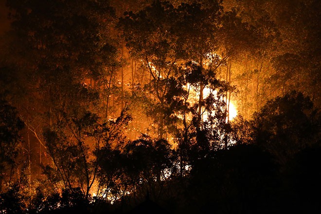 圖為滀山林火警現場。（圖源：互聯網）
