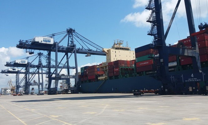 圖為丐麟碼頭卸船機在從 Huyndai Premium 大型貨船上卸貨。（圖源：德孝）