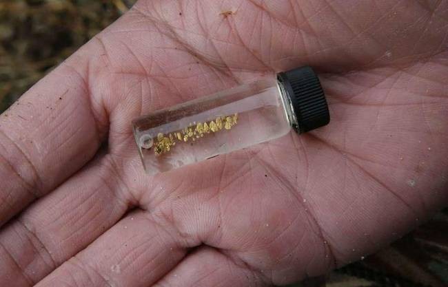 美加州暴雨山丘衝出黃金，走路都能撿到小指大金塊。 （圖源：互聯網）