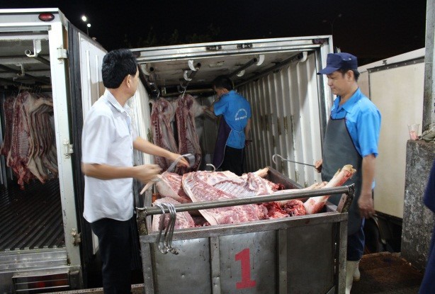 平田集散市場7月31日凌晨時輸進的已宰豬隻100%未帶上追溯二维码脚環。（圖源：黃越）
