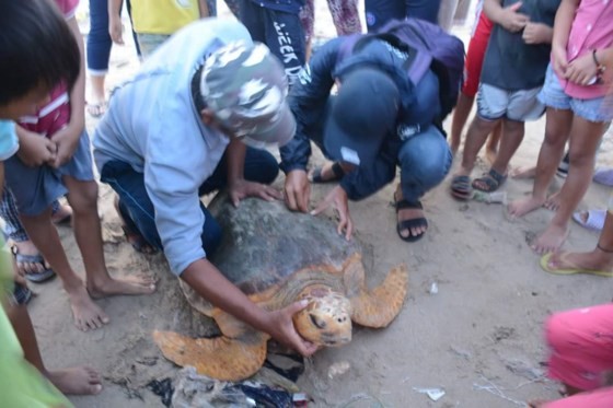 救援人員成功將烏龜從水庫裡營救出來。（圖源：互聯網）