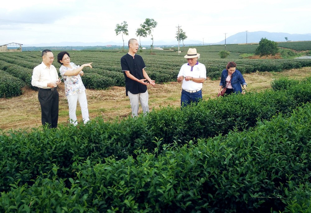 林泉（左三）向來賓介紹去年收購的茶園。