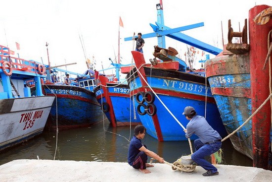 寧順省漁船回港避風。（圖源：互聯網）