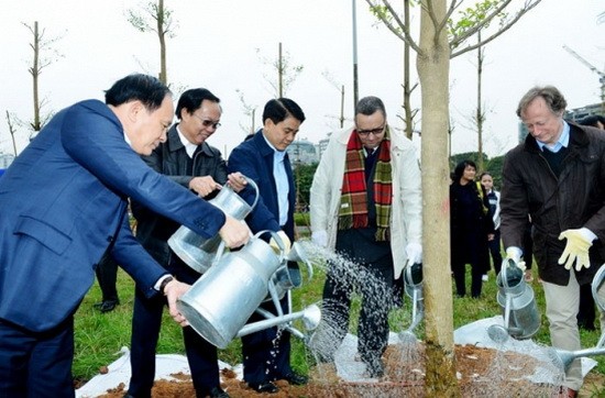 河內人委會領導與芬蘭駐越南大使及各國駐越南大使館代表參加植樹活動。（圖源：英貴）