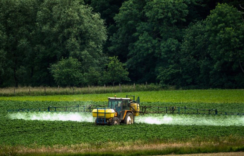 法國上法蘭西大區的農民噴灑草甘膦。（圖源：AFP）