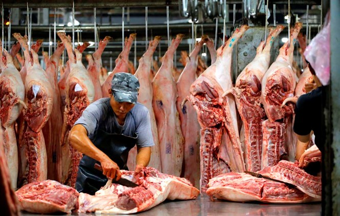 南部東區生豬價格上漲，每公斤比前3天上升約2000至3000元，環比上升7000至9000元。（示意圖源：玉陽）