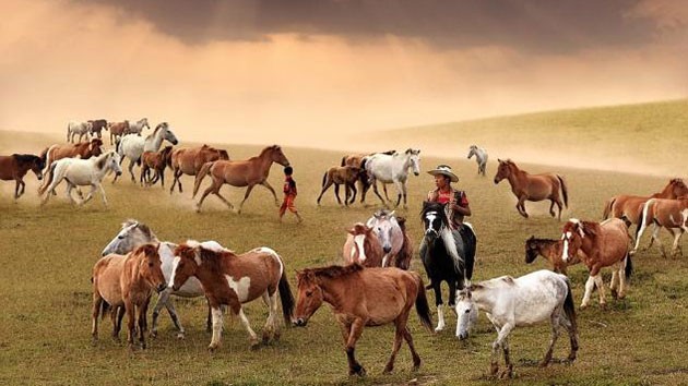 居民在郎比安山上放牧馬匹。