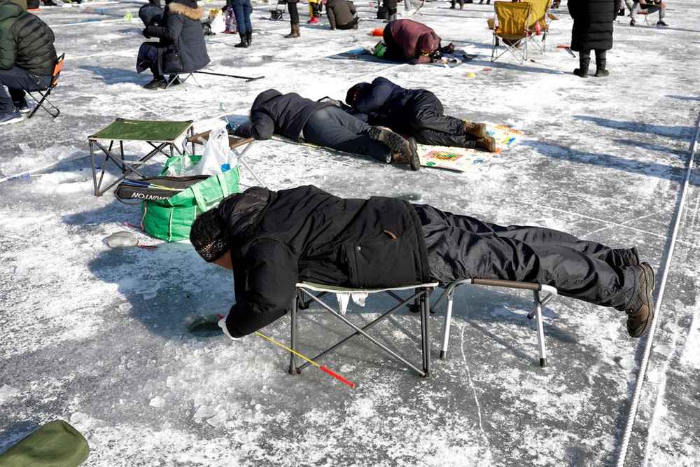 一年一度的華川山鱒魚慶典是韓國冬季代表慶典之一。慶典活動包括冰上山鱒魚垂釣、手抓山鱒魚等。（圖源：互聯網）