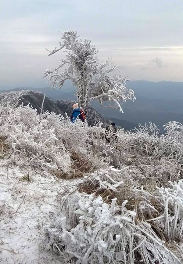 高平省若干高山的山峰已出現結霜冰掛景象。