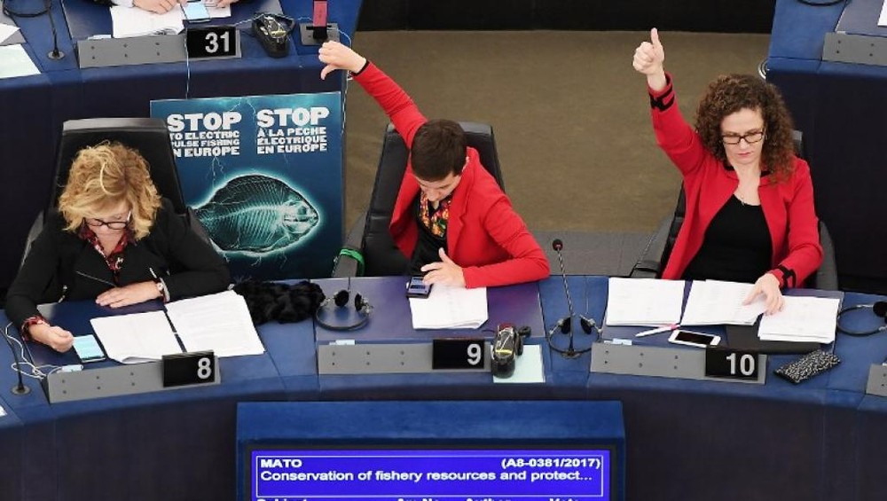 歐洲議會當地時間16日投票否決了歐盟委員會提出的擴大電擊捕魚區域的提案。同時，報導稱議會還通過了一項修正案，要求在歐盟範圍內完全禁止電擊捕魚法。（圖源：AFP）
