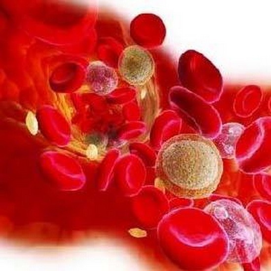 新方法可檢測血液病藥物治療效果。（示意圖源：互聯網）