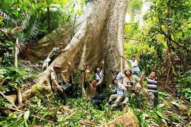 某一考察團在同奈省永久縣自然-文化保存區內的一棵大樹下合照。（圖源：由永久縣自然-文化保存區提供）